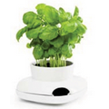 Herb Pot Single - 2 piece